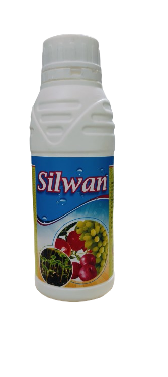 Silwan